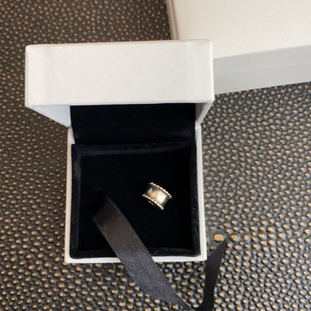 Pandora Clip - Picture 3 of 3